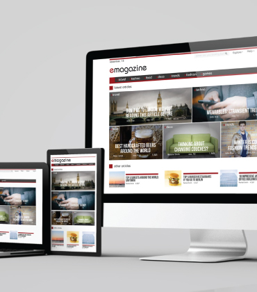 Local Business Website – Patna